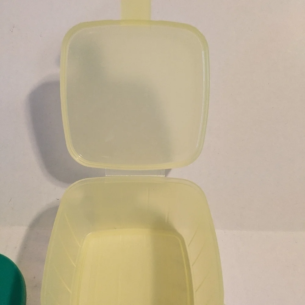 Tupperware questions leave